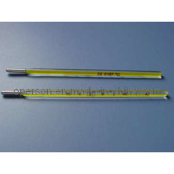 Mercury Clinical Thermometer Oral or Rectal